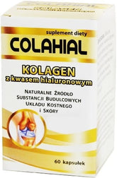 Colagen cu acid hialuronic 60 capsule GORVITA
